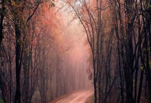 aoa体育馆-最新足球赛事更新，让您第一时间了解动态，足球赛事最新推荐