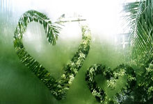 aoa体育新闻-利物浦锋线组合默契，世俱杯争冠实力凸显