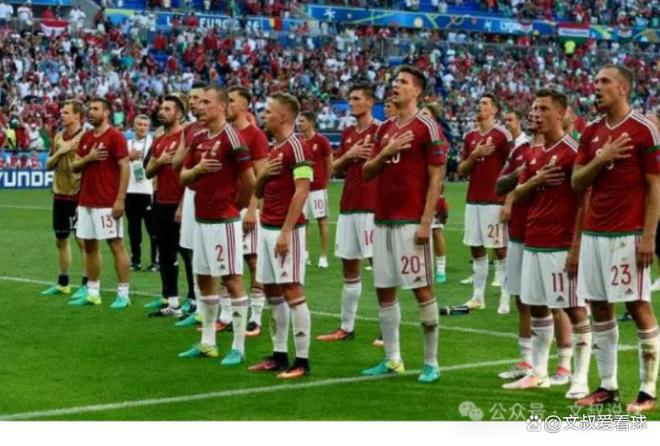 威尔士国家队vs匈牙利:实力悬殊争分夺秒的简单介绍 威尔士国家队vs匈牙利:实力悬殊争分夺秒的简单介绍