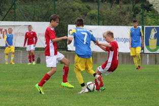 aoa体育娱乐-阿尔艾因新援首秀引期待,世俱杯表现备受关注