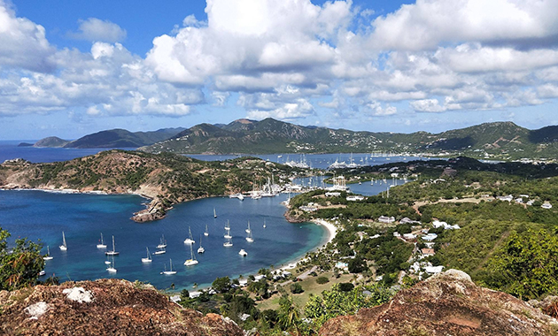 aoa体育教练-安提瓜与巴布达力克晋级，迎来挑战的简单介绍